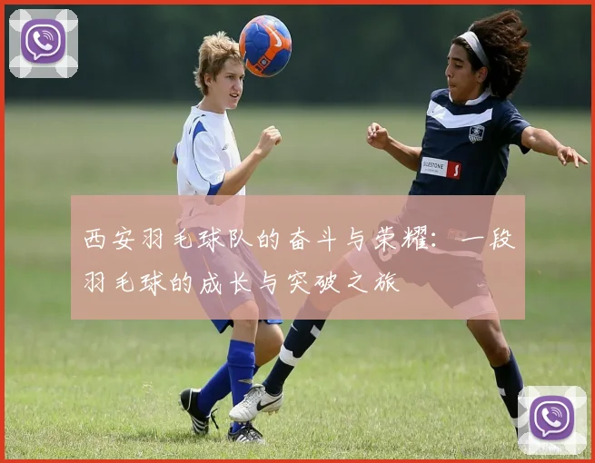 西安羽毛球队的奋斗与荣耀：一段羽毛球的成长与突破之旅