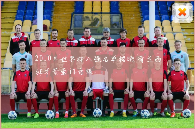 2010年世界杯八强名单揭晓 荷兰西班牙等豪门晋级